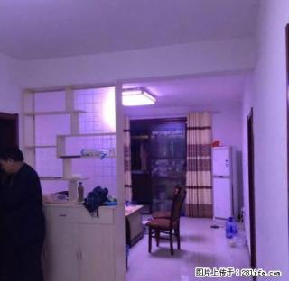 实验小学对面安粮一期精装房2室2厅1卫 - 宿州28生活网 suzhou.28life.com