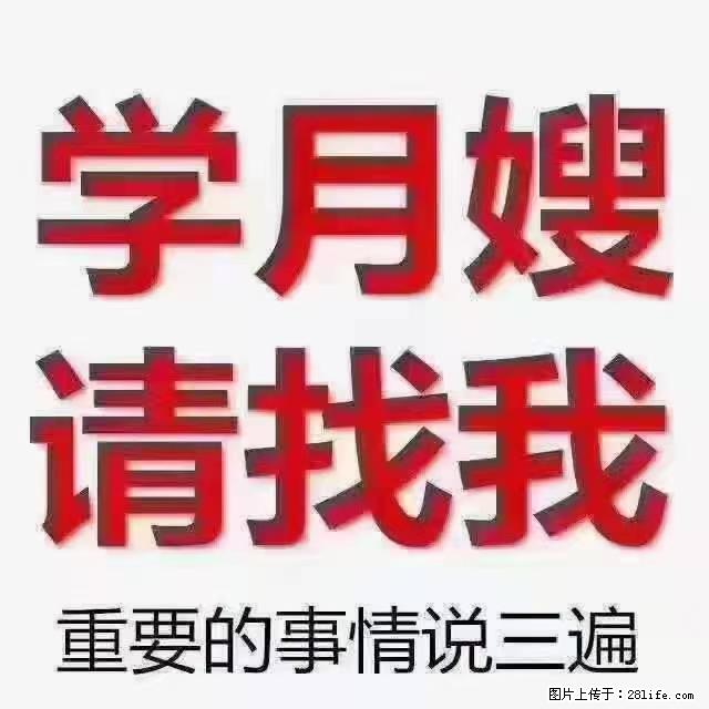 【招聘】月嫂，上海徐汇区 - 职场交流 - 宿州生活社区 - 宿州28生活网 suzhou.28life.com