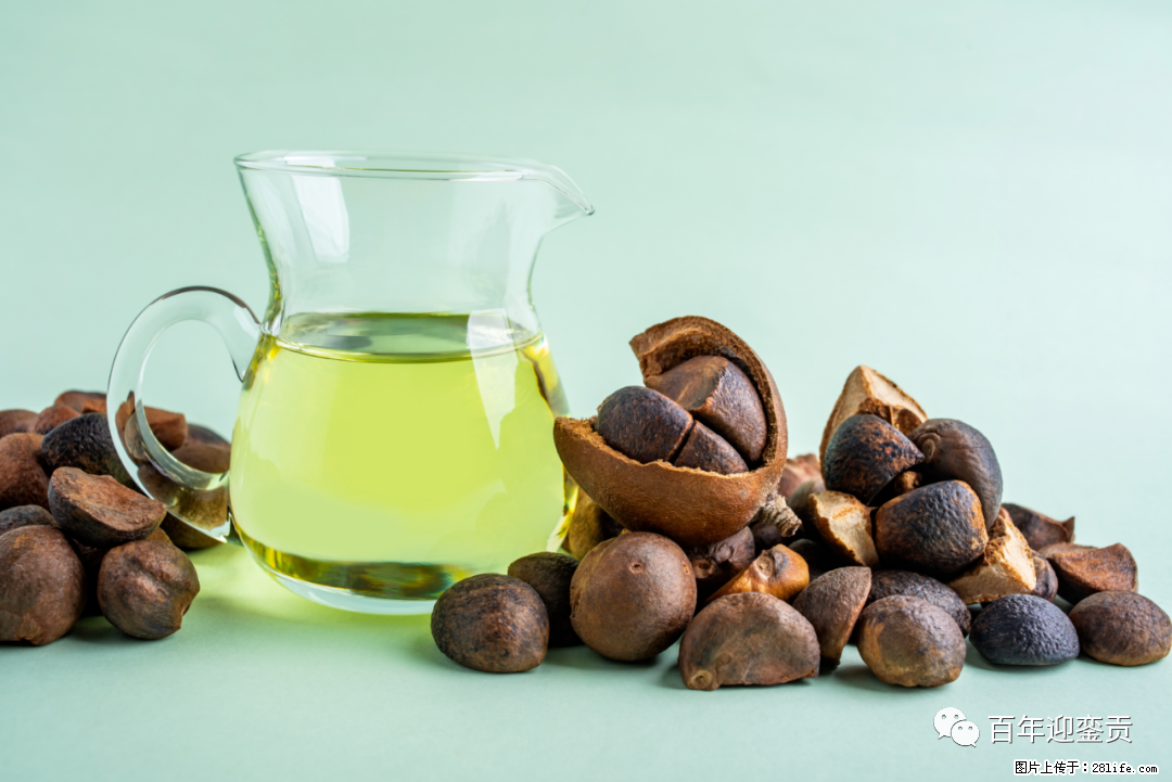 揭秘茶油的5大核心营养成分！被称为人体健康的“守护盾”！ - 宿州生活资讯 - 宿州28生活网 suzhou.28life.com