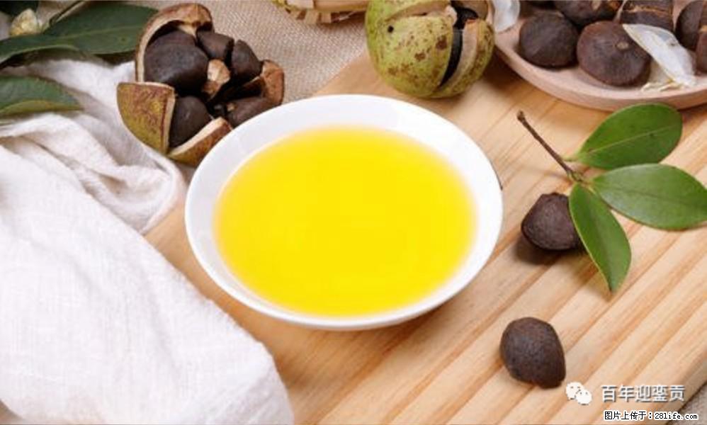 揭秘茶油的5大核心营养成分！被称为人体健康的“守护盾”！ - 宿州生活资讯 - 宿州28生活网 suzhou.28life.com