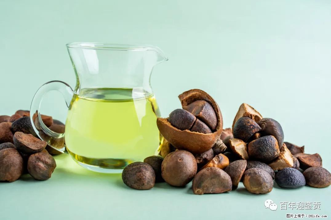 世界没有真相，只有认知，最好的食用油是中国的山茶油！ - 宿州生活资讯 - 宿州28生活网 suzhou.28life.com