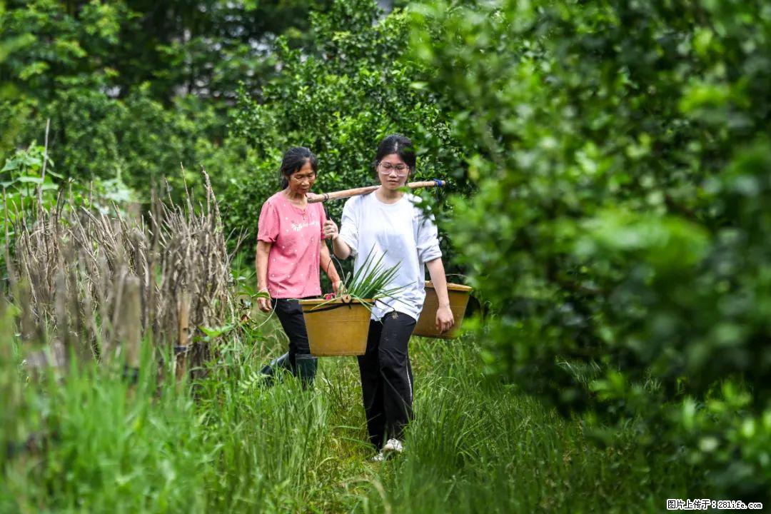 全网追的“扁担女孩”,找了一份暑假工,时薪12元 - 宿州生活资讯 - 宿州28生活网 suzhou.28life.com