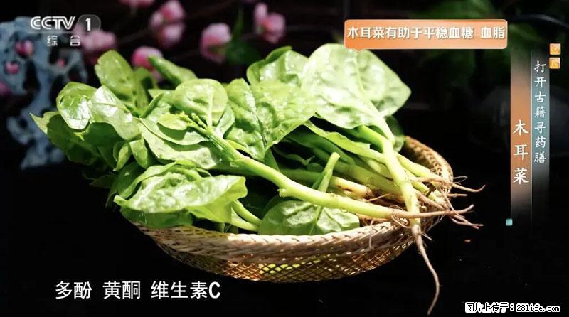 比牛奶补钙还厉害！凉血解毒、稳血糖...这菜冬天必吃，很多人却当草 - 宿州生活资讯 - 宿州28生活网 suzhou.28life.com
