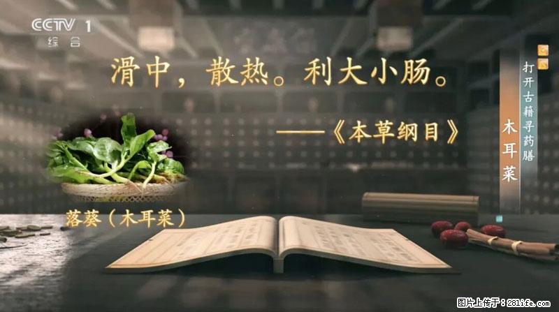 比牛奶补钙还厉害！凉血解毒、稳血糖...这菜冬天必吃，很多人却当草 - 宿州生活资讯 - 宿州28生活网 suzhou.28life.com