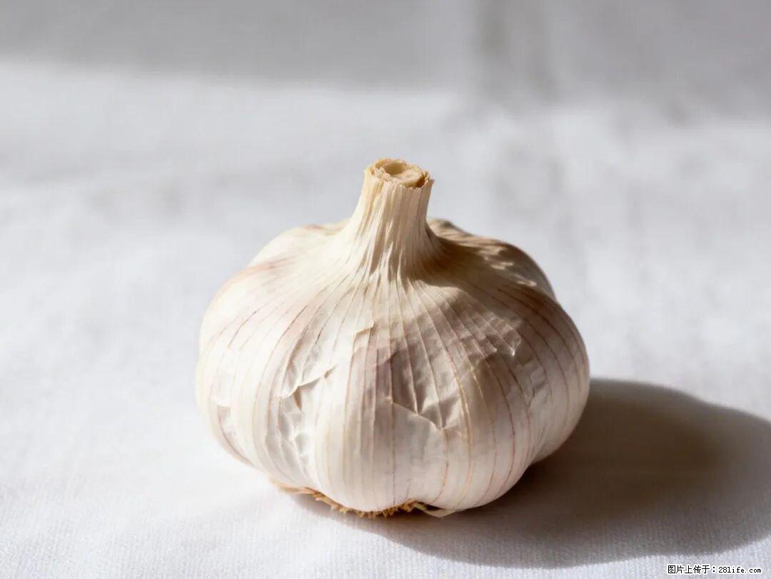 关于大蒜，除了“天然抗生素”，这4个谣言更该警惕! - 宿州生活资讯 - 宿州28生活网 suzhou.28life.com