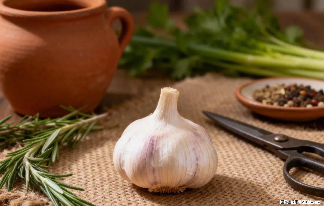 关于大蒜，除了“天然抗生素”，这4个谣言更该警惕! - 宿州生活资讯 - 宿州28生活网 suzhou.28life.com