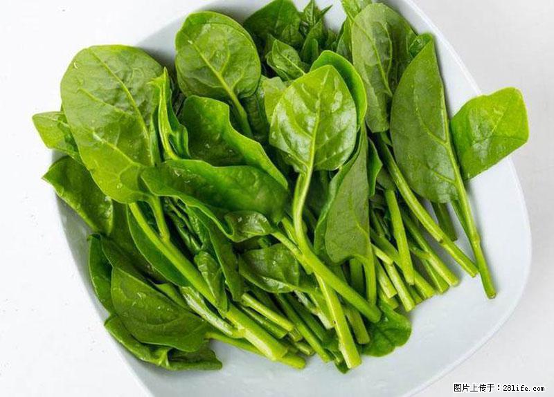 这些蔬菜是“天然钙片”，这6种被医生重点推荐 - 宿州生活资讯 - 宿州28生活网 suzhou.28life.com