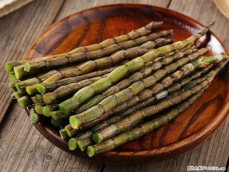 铁皮石斛的作用与功能主治 - 宿州生活资讯 - 宿州28生活网 suzhou.28life.com