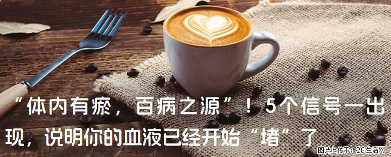 “体内有瘀，百病之源”！5个信号一出现，说明你的血液已经开始“堵”了 - 宿州生活资讯 - 宿州28生活网 suzhou.28life.com